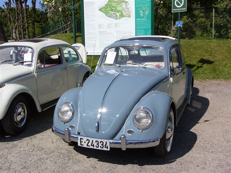 t1-1.JPG