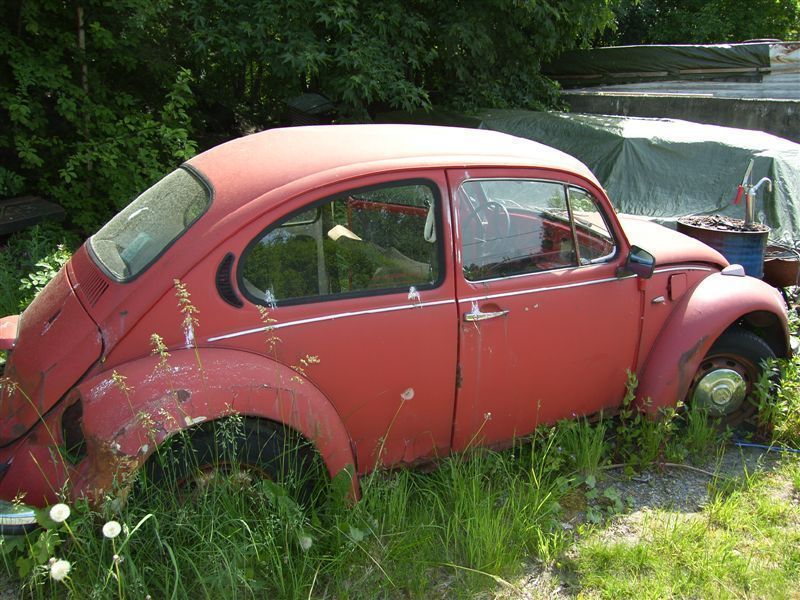 vw2.JPG