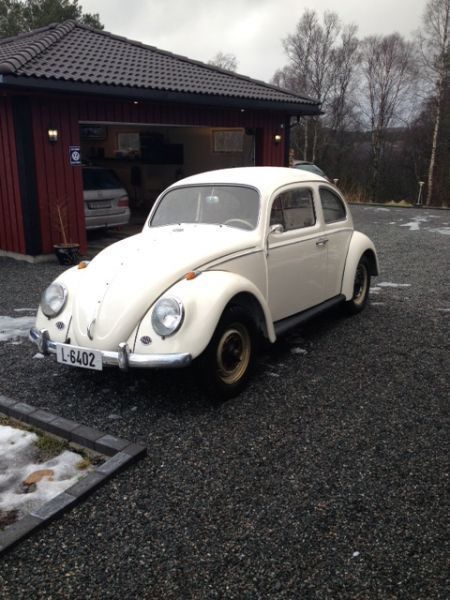 herbie1.JPG