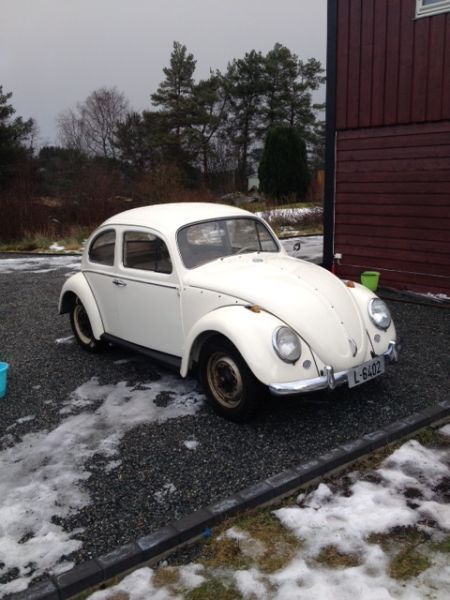 herbie2.JPG