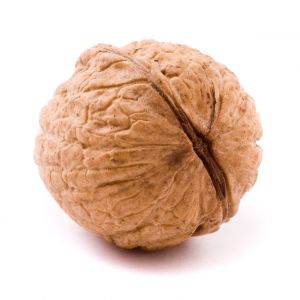 nut.jpg