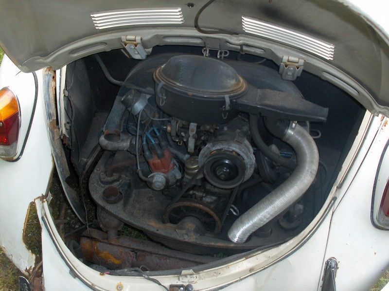 HPIM6531 (Kopier).JPG
