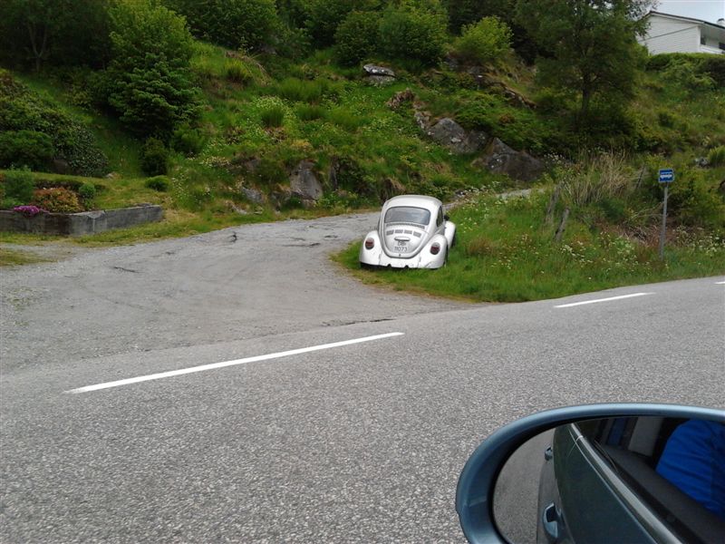 spottet 04.06.jpg
