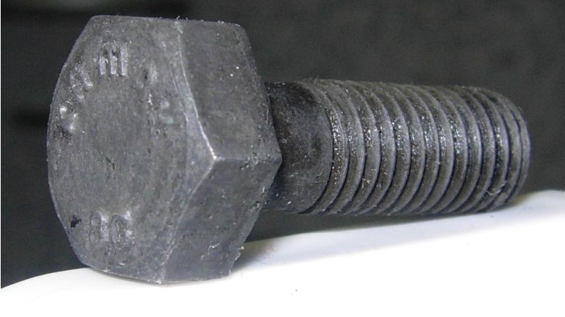 bolt 2 netter.jpg