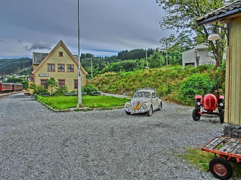 CIMG3004 (Medium).JPG