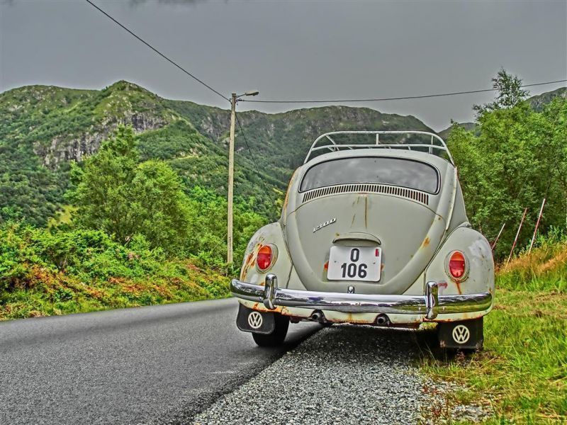 CIMG3082 (Medium).JPG