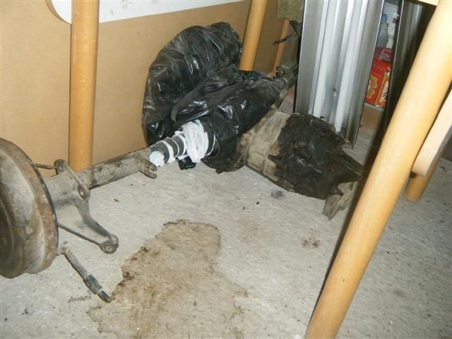 DSCF6967 (Small).JPG