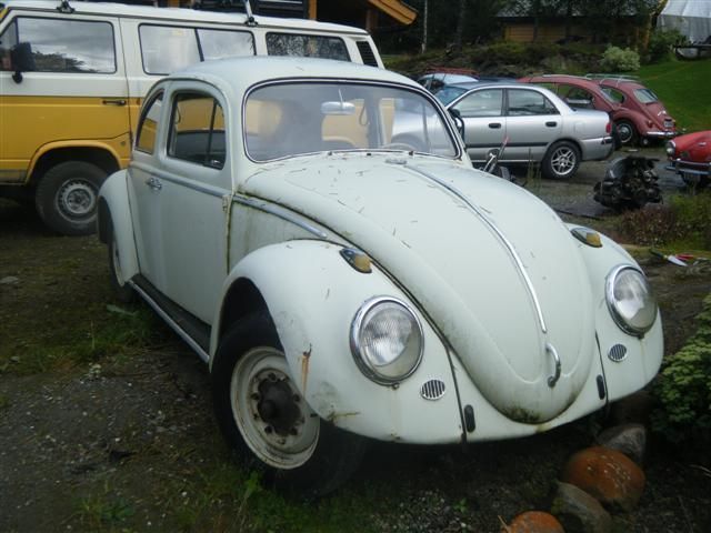 DSCF6989 (Small).JPG