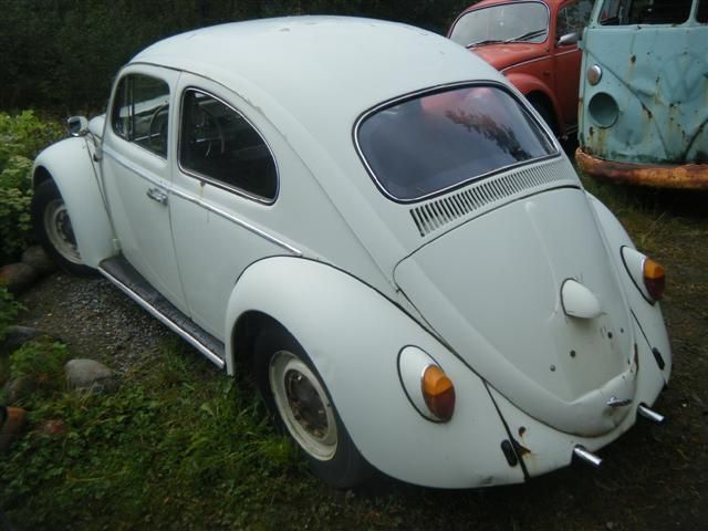 DSCF6992 (Small).JPG