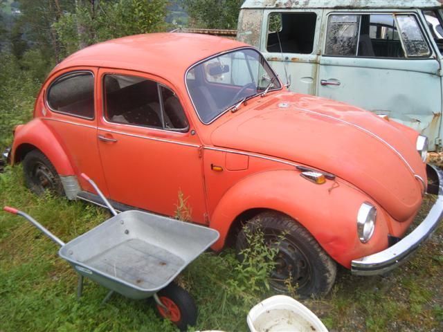 DSCF6995 (Small).JPG