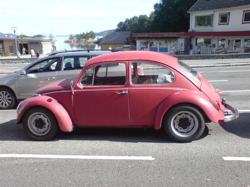 DSC00311 (Medium).JPG