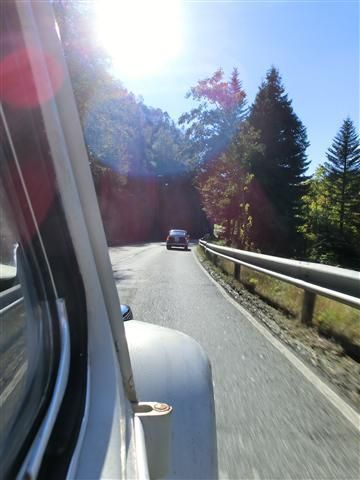 CIMG3650 (Small).JPG