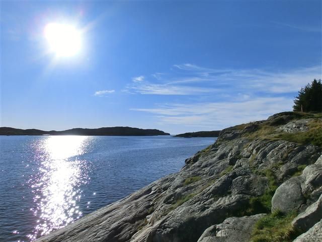 CIMG3690 (Small).JPG