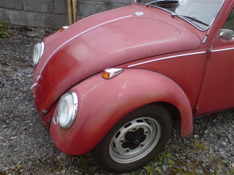 DSC00351 (Medium).JPG
