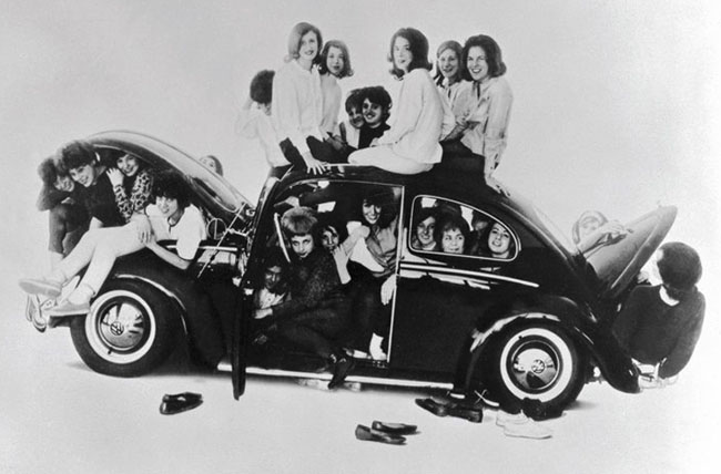 Beetle stuffing.jpg