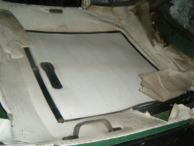 DSCF8319 (Small).JPG