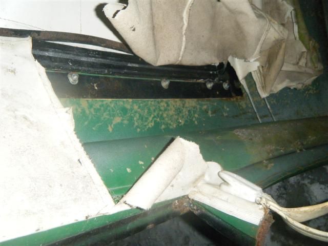 DSCF8320 (Small).JPG