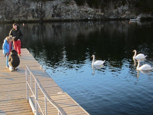 IMG_0269 [640x480].JPG