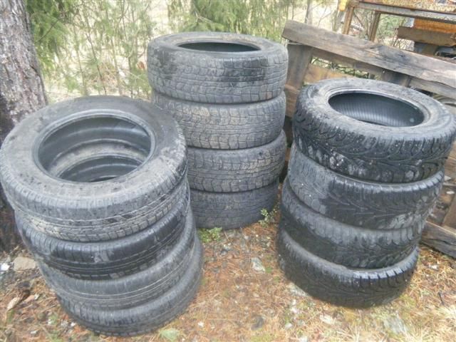 DSCF8530 (Small).JPG