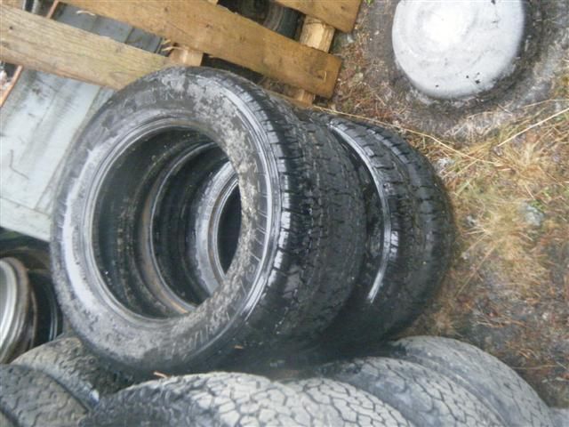 DSCF8531 (Small).JPG