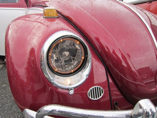 IMG_0686 [640x480].JPG