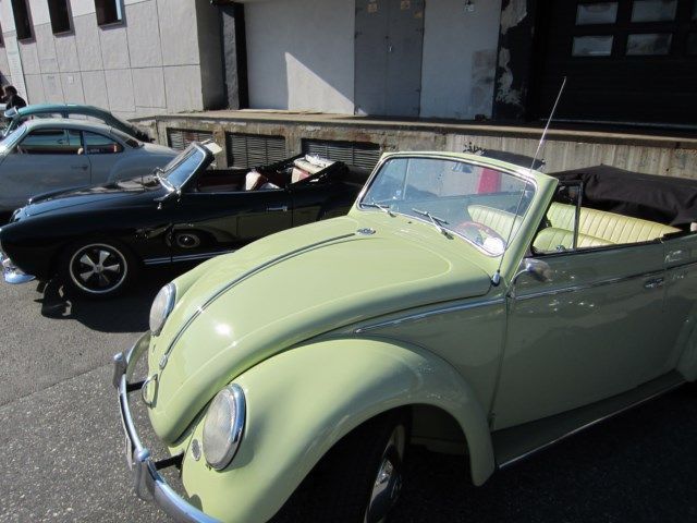 IMG_1499 [640x480].JPG