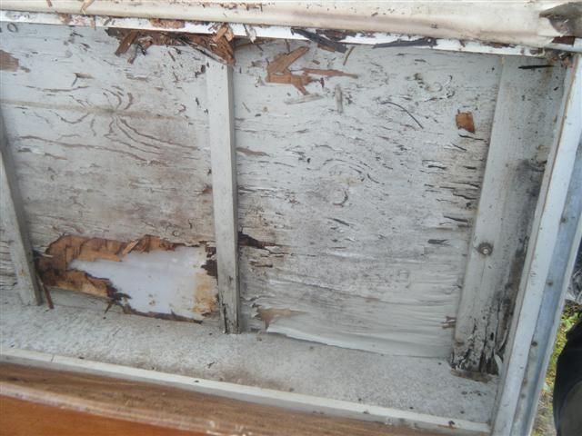 DSCF9960 (Small).JPG