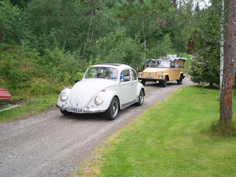 P1010009.jpg