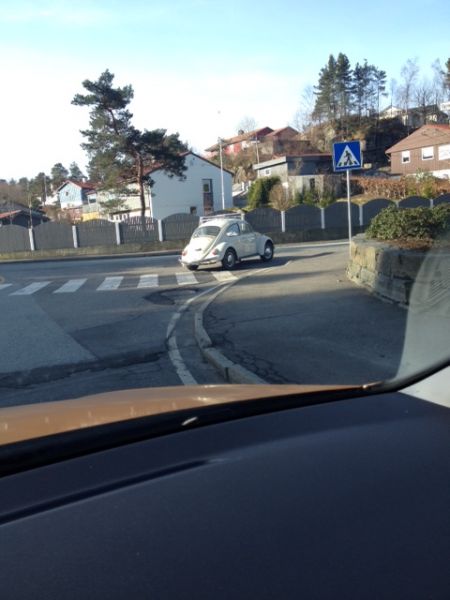 Boblespotting-040414.jpg