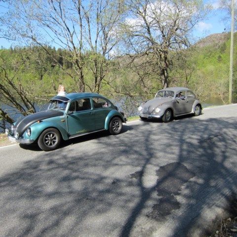 IMG_3345 [640x480].JPG