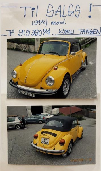 gulcab1.jpg