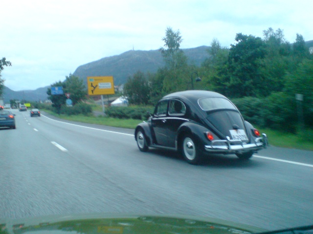Cruising3.jpg