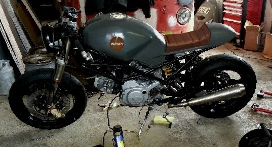 duc2.jpg