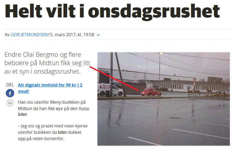 Vilt rush 2.0.jpg