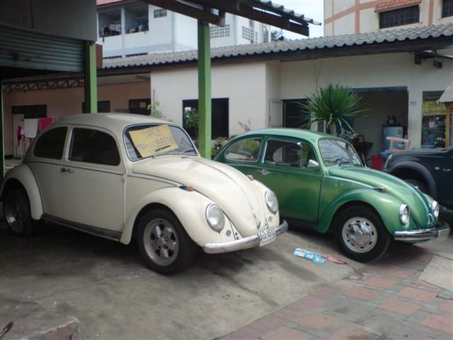 DSC00387 (Small).JPG
