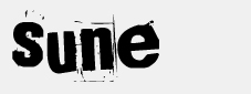RZR Sune Signatur.jpg