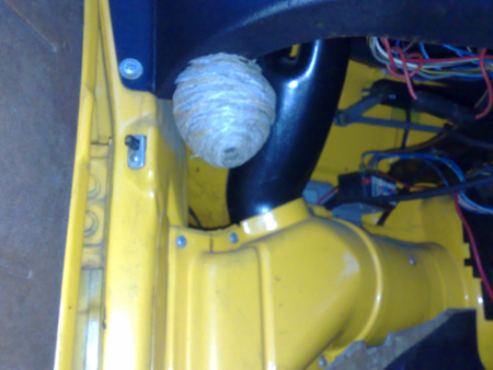 03092008397.jpg