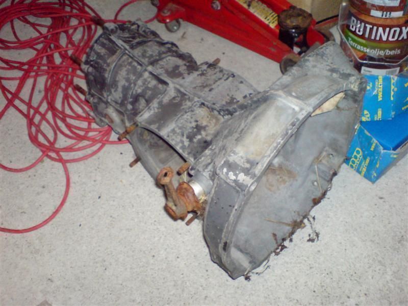 DSC00514 (Medium).JPG