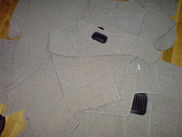 DSC00521 (Small).JPG