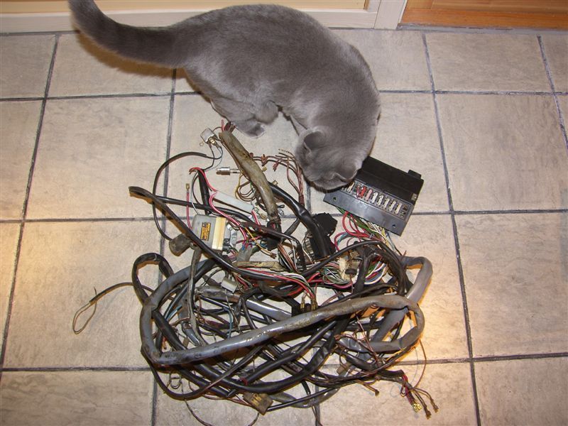 harness2.JPG