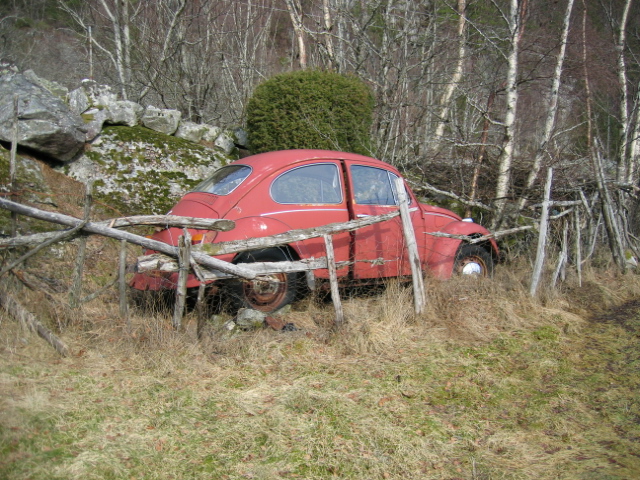 bobla i bekken 001.jpg