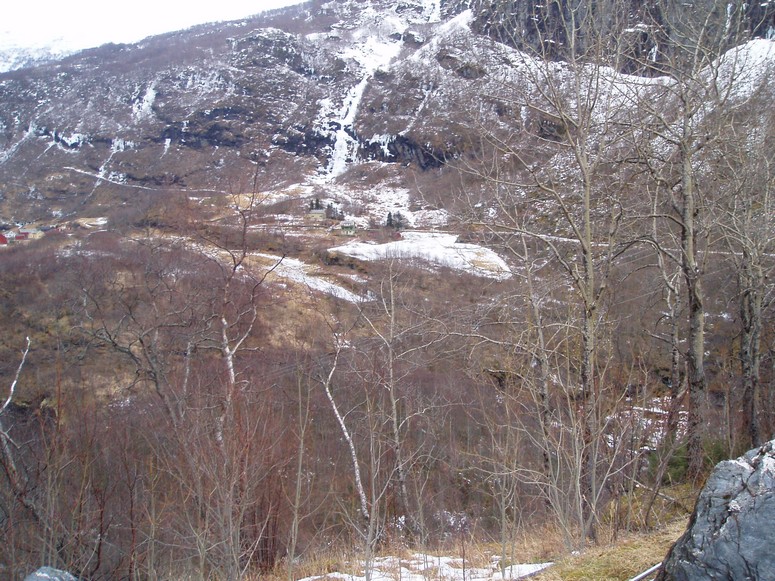 P1011823.jpg