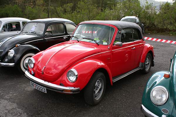 IMG_7337.jpg