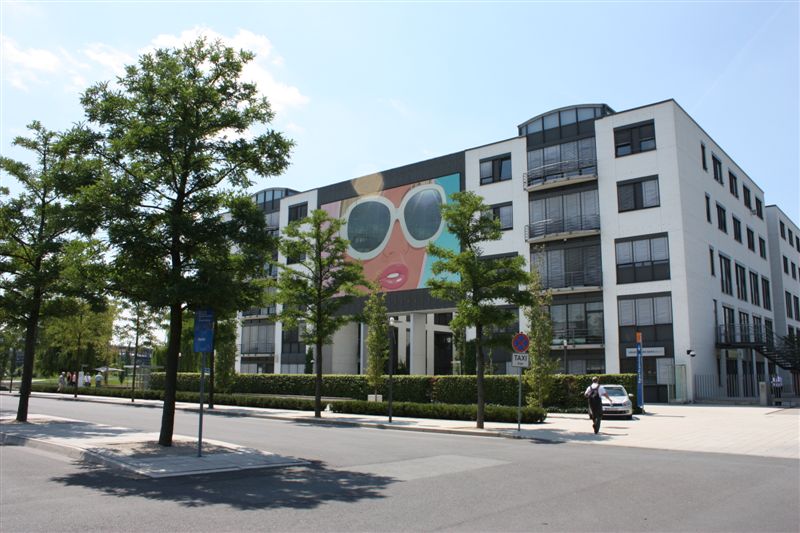 as1.jpg