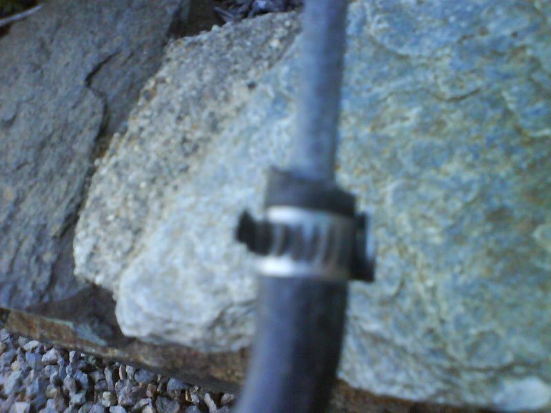 DSC01320.JPG