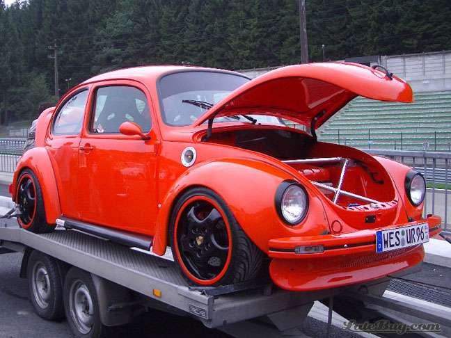 latebuggl0008.jpg