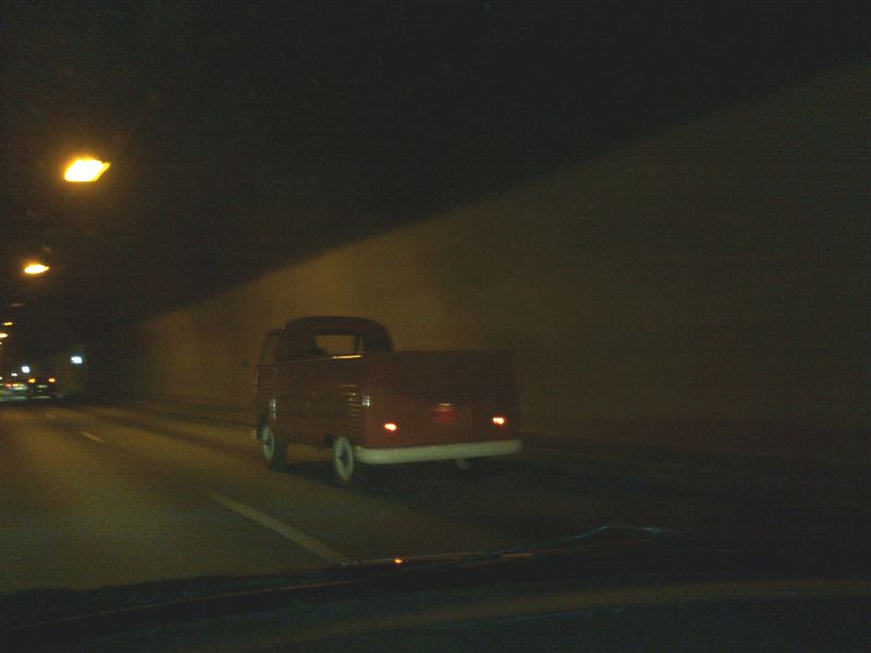 spotted.jpg