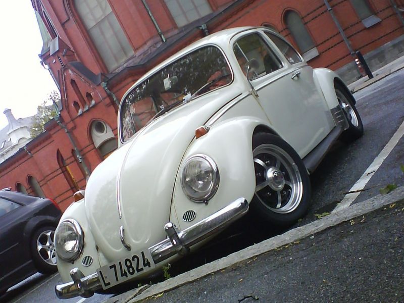 DSC01251-lite.jpg