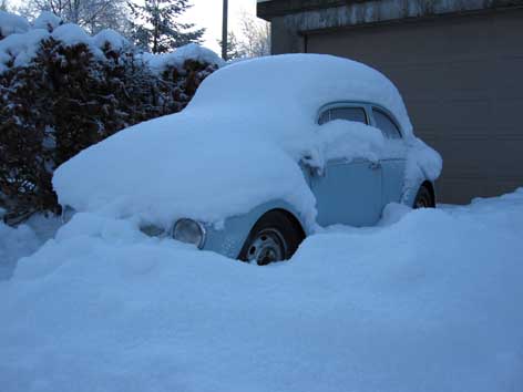 snow1.jpg