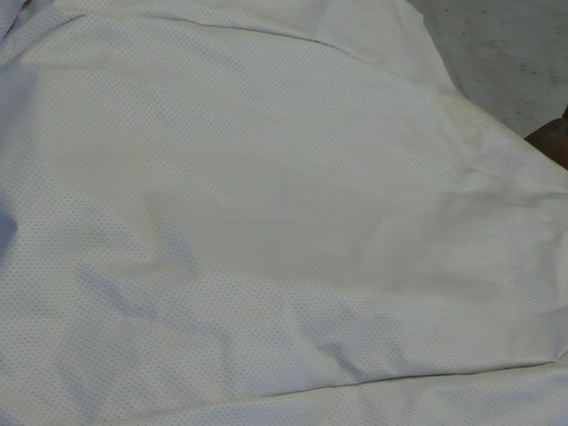 P1030033.JPG